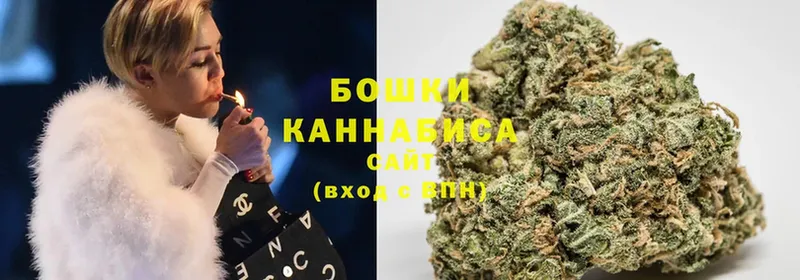 Канабис OG Kush  Кандалакша 